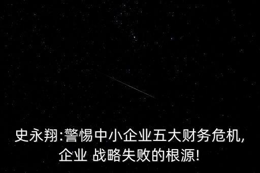 史永翔:警惕中小企業(yè)五大財務(wù)危機,企業(yè) 戰(zhàn)略失敗的根源!