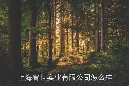  上海宥世實業(yè)有限公司怎么樣