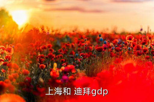 上海和 迪拜gdp