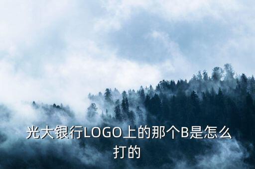  光大銀行LOGO上的那個(gè)B是怎么打的