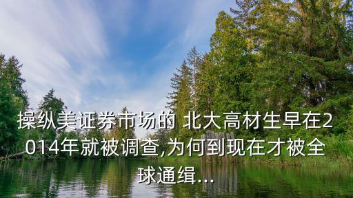 操縱美證券市場的 北大高材生早在2014年就被調查,為何到現(xiàn)在才被全球通緝...