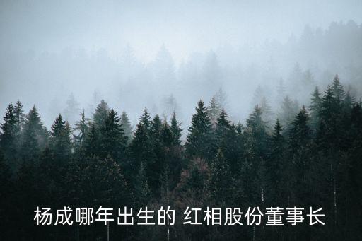 廈門(mén)紅相電力設(shè)備股份有限公司怎么樣,亞洲電力設(shè)備(深圳)股份有限公司