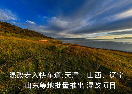  混改步入快車道:天津、山西、遼寧、山東等地批量推出 混改項目