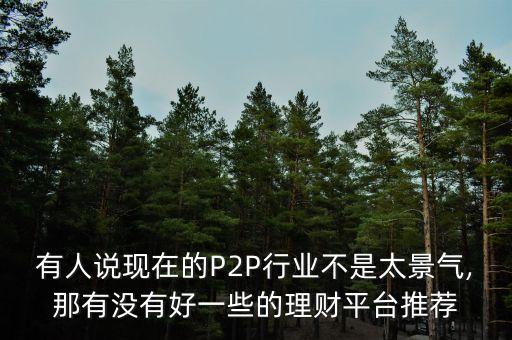 有人說(shuō)現(xiàn)在的P2P行業(yè)不是太景氣,那有沒(méi)有好一些的理財(cái)平臺(tái)推薦