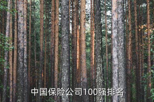 中國保險公司100強(qiáng)排名