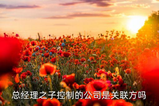 總經(jīng)理之子控制的公司是關(guān)聯(lián)方嗎