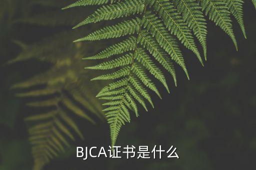 BJCA證書是什么