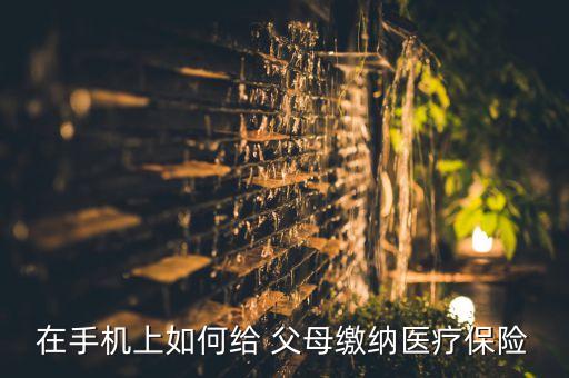 在手機(jī)上如何給 父母繳納醫(yī)療保險(xiǎn)