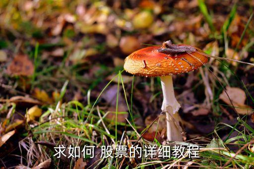 求如何 股票的詳細(xì)教程