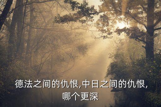  德法之間的仇恨,中日之間的仇恨,哪個更深