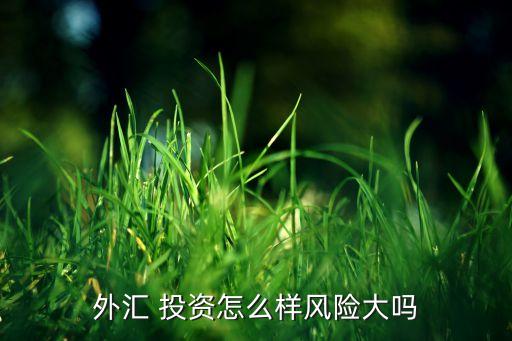 外匯 投資怎么樣風(fēng)險(xiǎn)大嗎