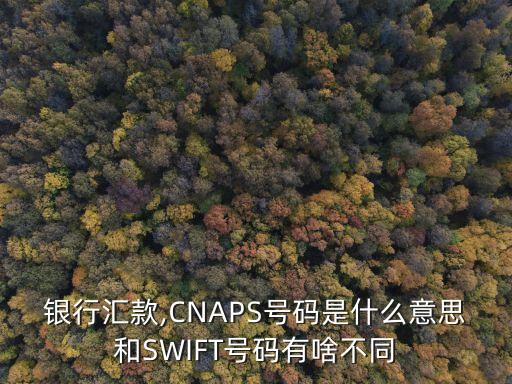 銀行匯款,CNAPS號(hào)碼是什么意思和SWIFT號(hào)碼有啥不同