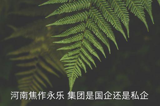 河南焦作永樂(lè) 集團(tuán)是國(guó)企還是私企