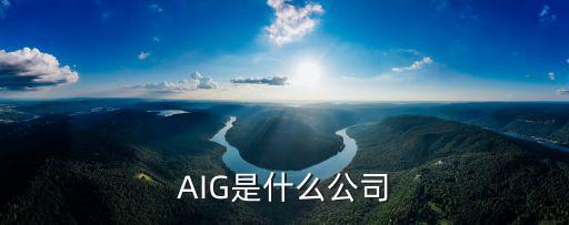 AIG是什么公司