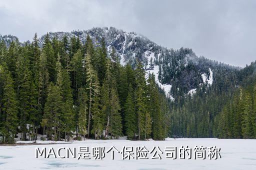 MACN是哪個(gè)保險(xiǎn)公司的簡稱