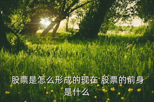  股票是怎么形成的現(xiàn)在 股票的前身是什么