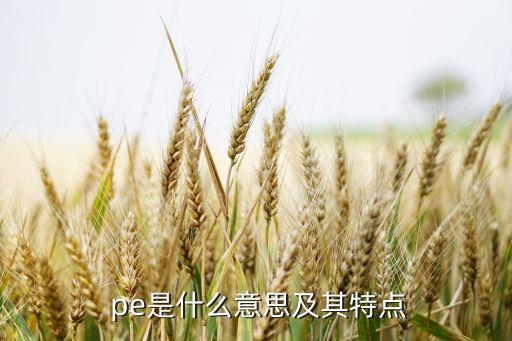  pe是什么意思及其特點(diǎn)