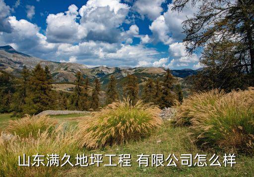 山東滿久地坪工程 有限公司怎么樣