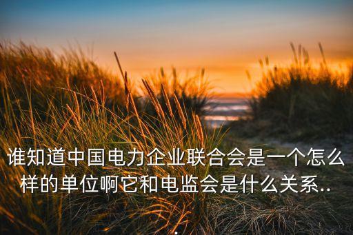 誰知道中國電力企業(yè)聯(lián)合會是一個怎么樣的單位啊它和電監(jiān)會是什么關(guān)系...