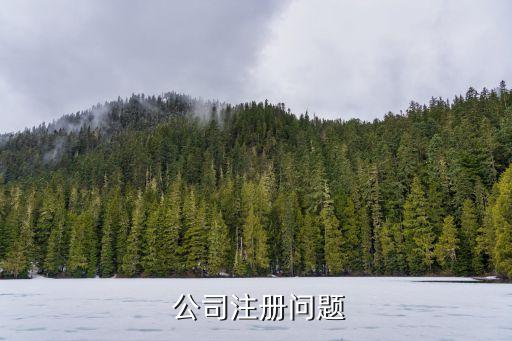 鋼材貿易公司章程,上海最大鋼材貿易公司