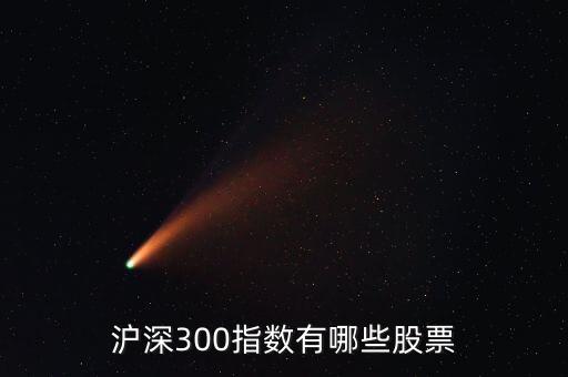 滬深300指數(shù)有哪些股票