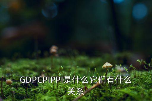 GDPCPIPPI是什么它們有什么關(guān)系