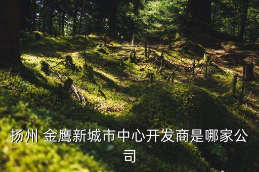 金鷹國際商貿集團供應商關系系統(tǒng)管理