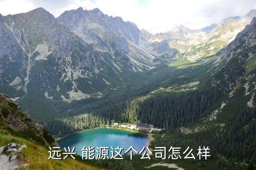  遠(yuǎn)興 能源這個(gè)公司怎么樣