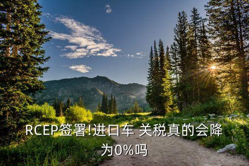 RCEP簽署!進口車 關(guān)稅真的會降為0%嗎