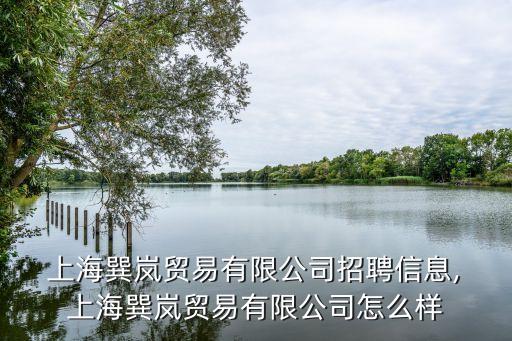  上海巽嵐貿(mào)易有限公司招聘信息, 上海巽嵐貿(mào)易有限公司怎么樣