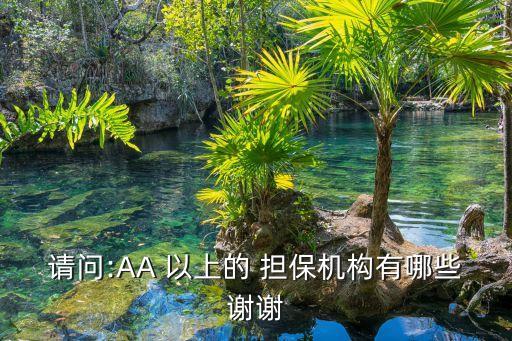 請問:AA 以上的 擔(dān)保機構(gòu)有哪些謝謝