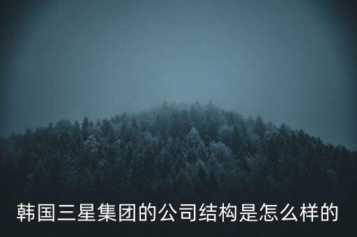 韓國(guó)三星集團(tuán)的公司結(jié)構(gòu)是怎么樣的