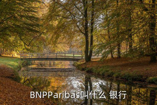 BNPParibas叫什么 銀行