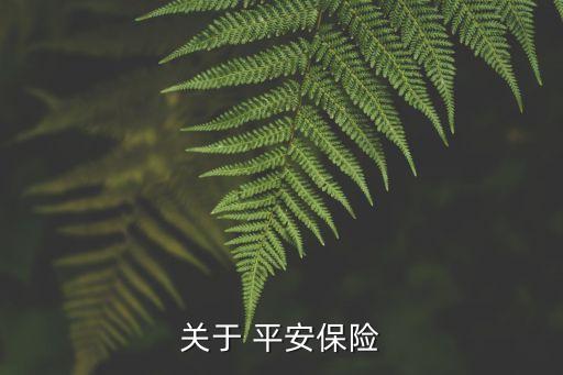 關(guān)于 平安保險(xiǎn)