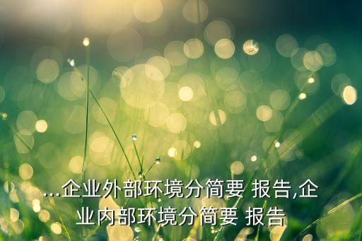 ...企業(yè)外部環(huán)境分簡要 報告,企業(yè)內(nèi)部環(huán)境分簡要 報告