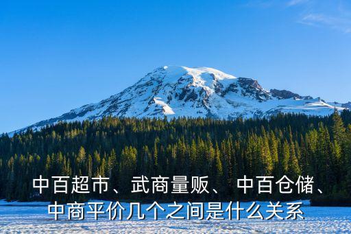  中百超市、武商量販、 中百倉儲、中商平價幾個之間是什么關系