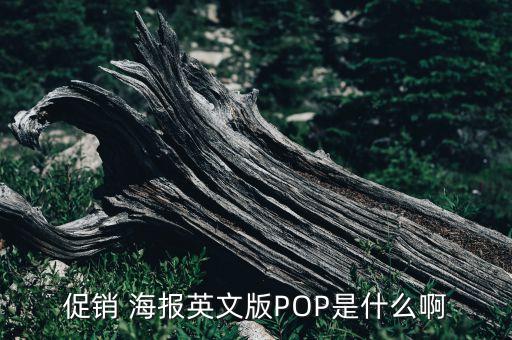 促銷(xiāo) 海報(bào)英文版POP是什么啊