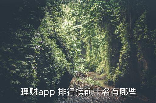  理財(cái)app 排行榜前十名有哪些