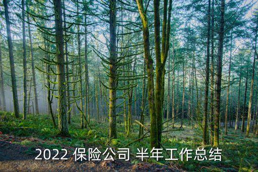 2022 保險(xiǎn)公司 半年工作總結(jié)