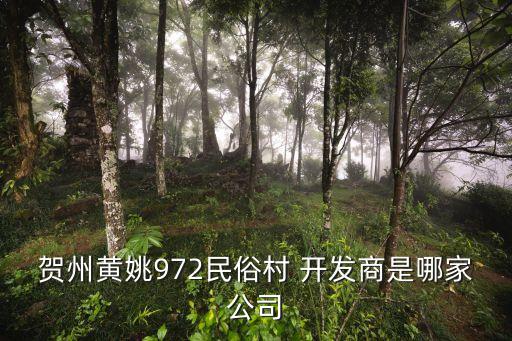 賀州黃姚972民俗村 開發(fā)商是哪家公司