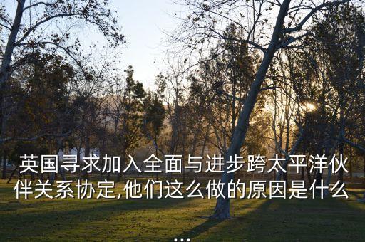  英國尋求加入全面與進步跨太平洋伙伴關系協(xié)定,他們這么做的原因是什么...