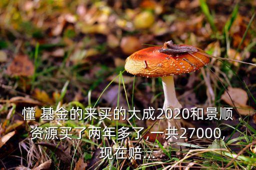 懂 基金的來買的大成2020和景順資源買了兩年多了,一共27000,現(xiàn)在賠...