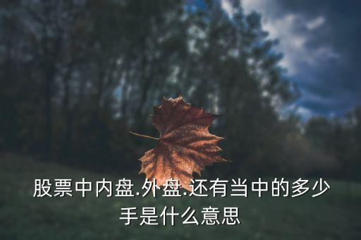  股票中內(nèi)盤.外盤.還有當中的多少手是什么意思