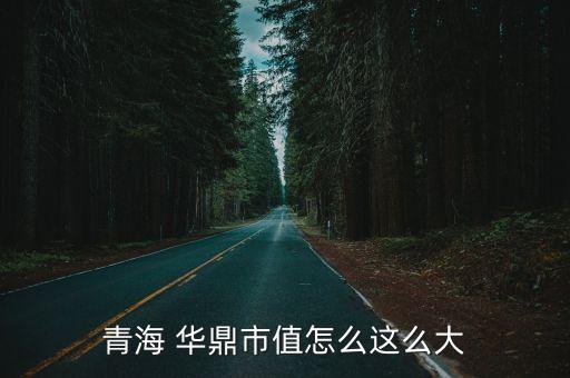 青海 華鼎市值怎么這么大