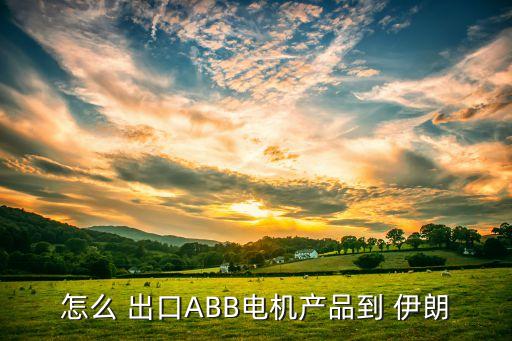 怎么 出口ABB電機(jī)產(chǎn)品到 伊朗