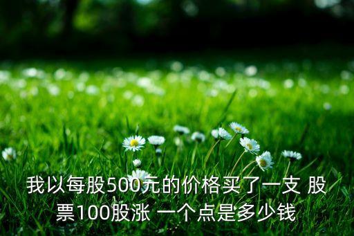 我以每股500元的價(jià)格買(mǎi)了一支 股票100股漲 一個(gè)點(diǎn)是多少錢(qián)