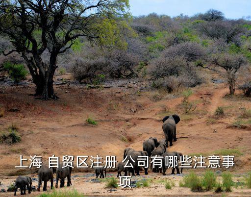 上海 自貿區(qū)注冊 公司有哪些注意事項