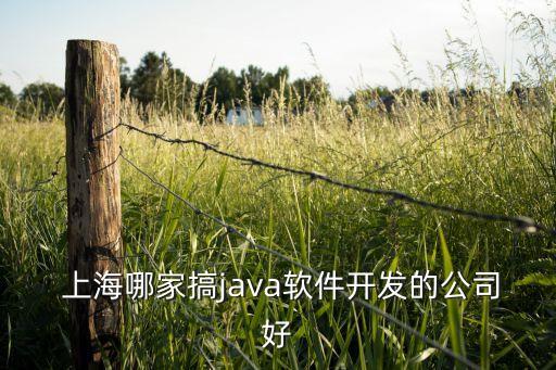  上海哪家搞java軟件開發(fā)的公司好