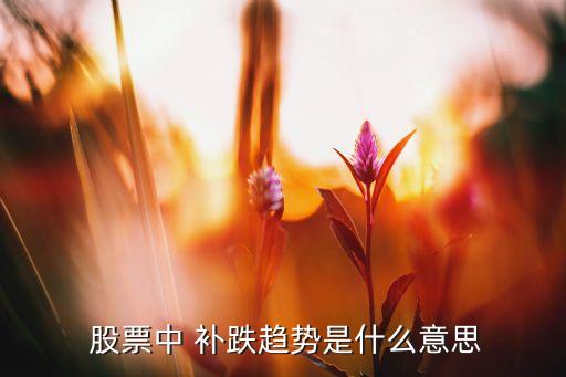  股票中 補(bǔ)跌趨勢(shì)是什么意思