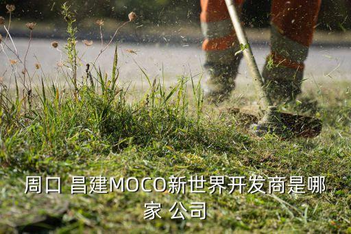 周口 昌建MOCO新世界開(kāi)發(fā)商是哪家 公司